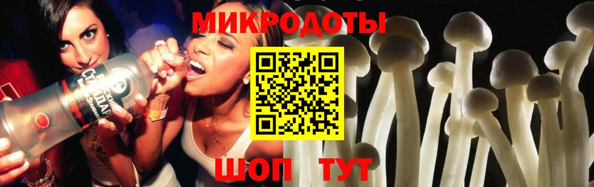 Псилоцибиновые грибы Psilocybe Чистополь